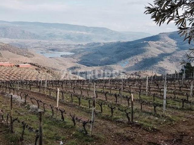 Quinta venda em Vila Flor, Bragança