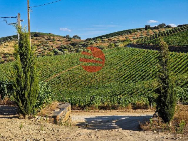 Quinta venda em Guarda, Mós
