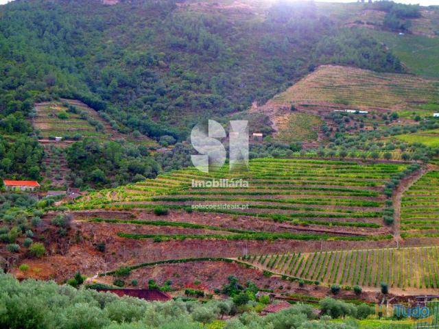 Quinta venda em Sabrosa, Vila Real