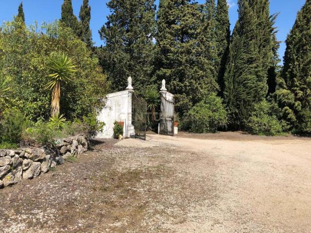 Quinta venda em Palmela, Setúbal