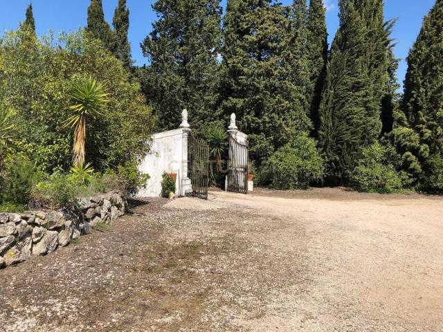 Quinta venda em Palmela, Setúbal