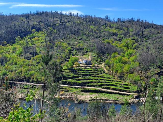 Vivenda venda em Tábua, Coimbra