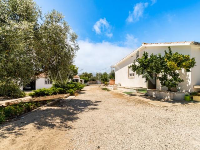 Quinta venda em Porto De Mós, Leiria