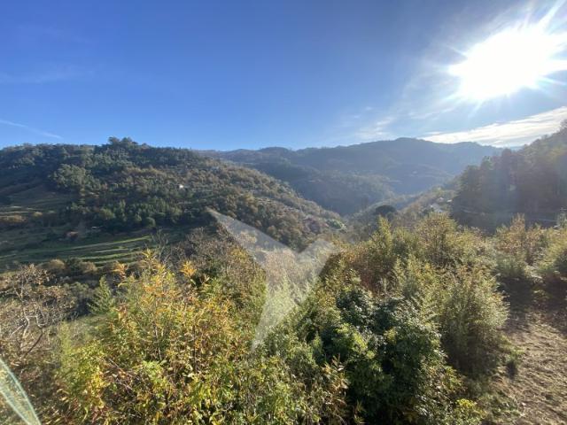 Quinta venda em Cinfães, Viseu