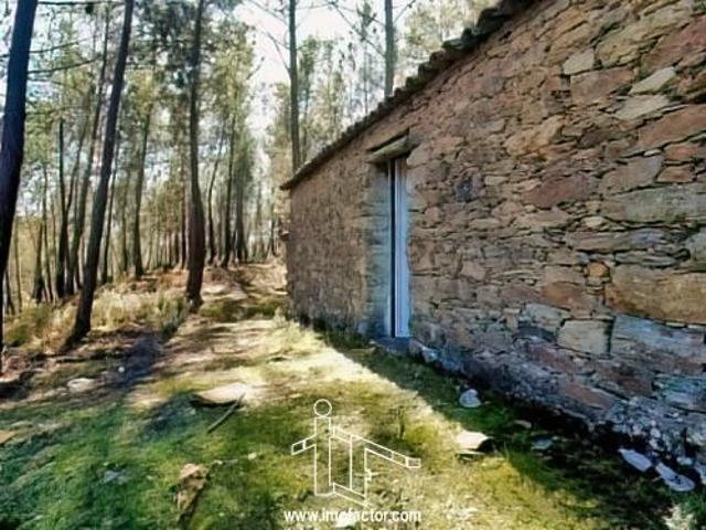 Quinta venda em Castelo Branco