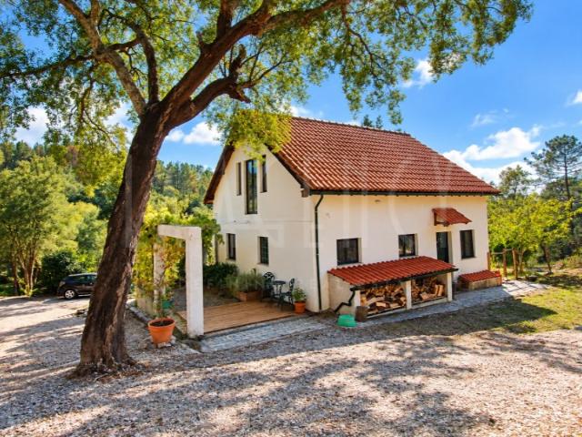 Quinta venda em Póvoa de Midões, Tábua