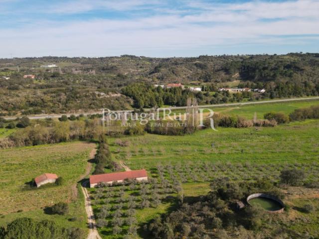 Quinta venda em Torres Novas, Santarém