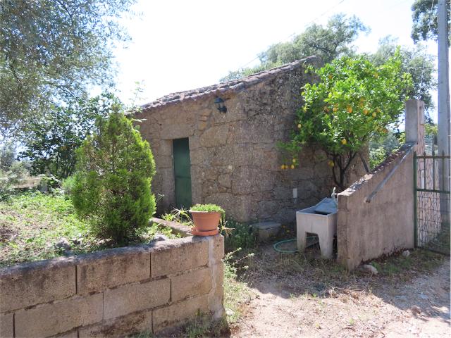 Quinta venda em Castelo Branco