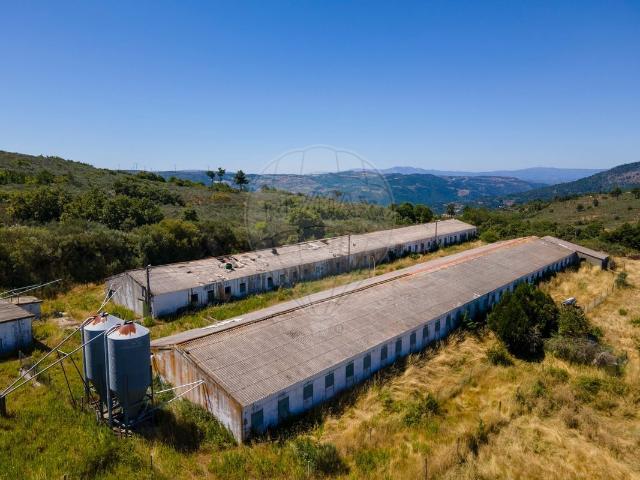 Quinta alugar em Viseu