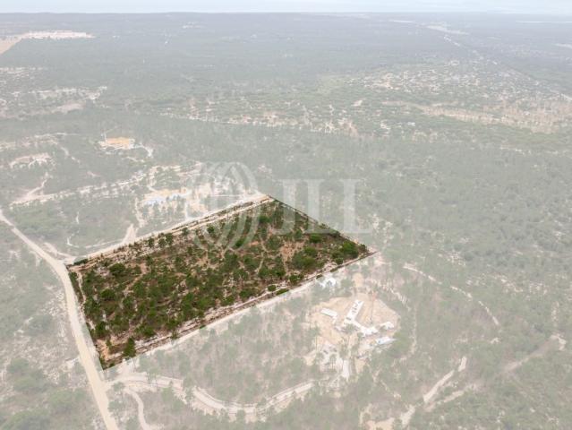 Terreno venda em Muda, Grândola