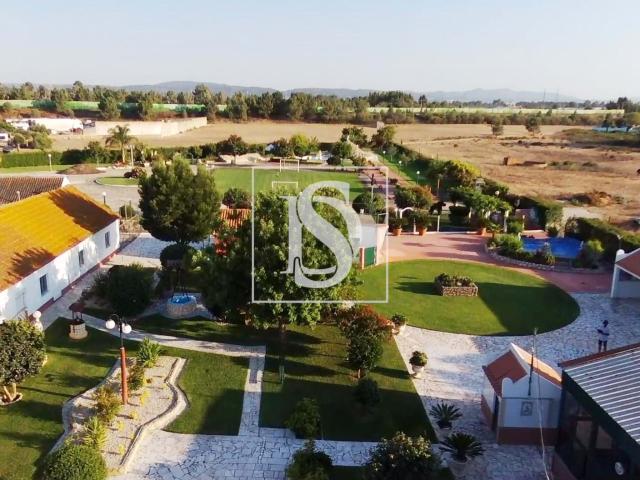 Quinta venda em Palmela, Setúbal