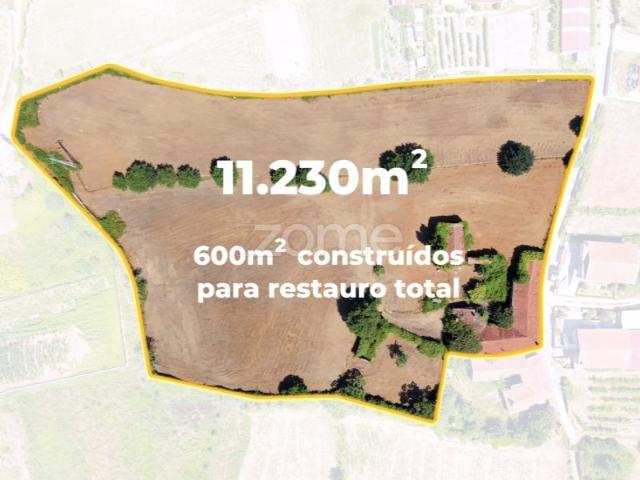 Quinta venda em Alvelhe, Oliveira De Azeméis