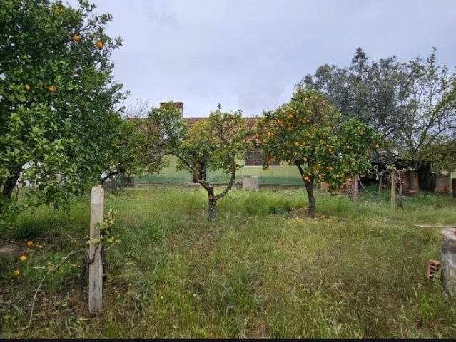 Vivenda venda em Grândola, Setúbal