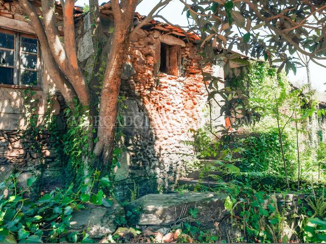 Quinta venda em Arco de Baúlhe e Vila Nune, Cabeceiras de Basto