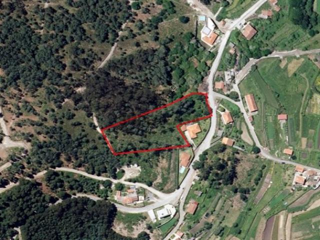Terreno venda em Viana Do Castelo
