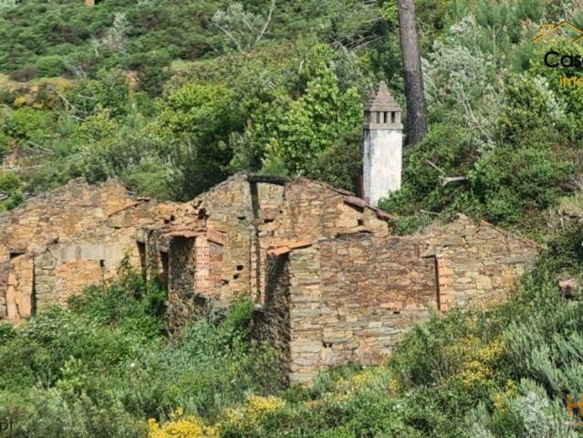 Quinta venda em Castelo Branco, Cumeada