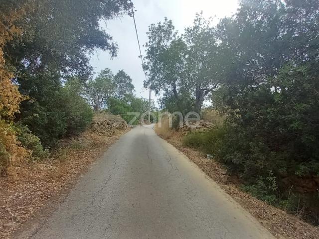 Quinta venda em Faro