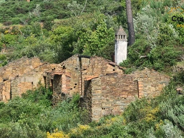 Quinta venda em Castelo Branco, Cumeada