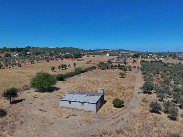 Quinta venda em Vila Viçosa, Évora