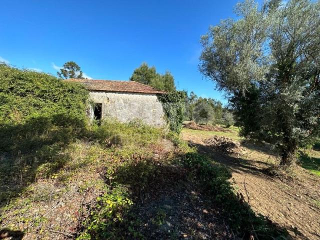 Quinta venda em Abrigueiro, Viana Do Castelo