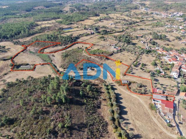 Quinta venda em Cebolais de Cima e Retaxo, Castelo Branco