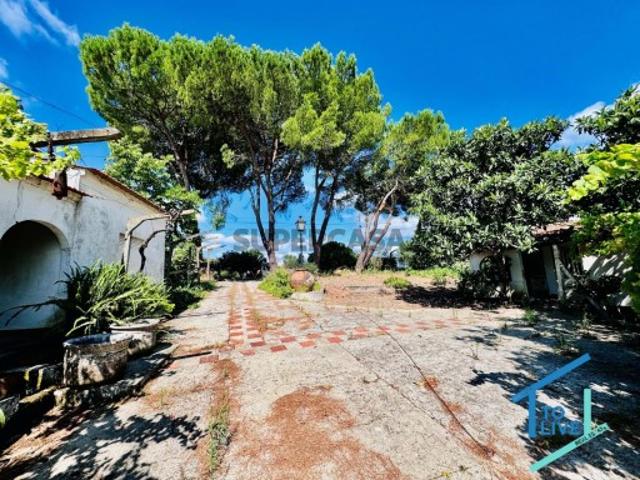 Casa venda em Tomar, Santarém