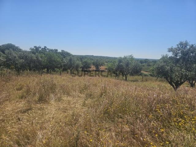 Casa venda em Santiago Do Cacém, Setúbal