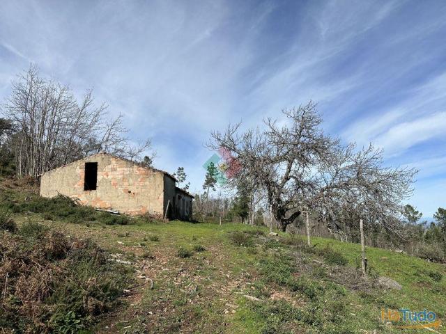Quinta venda em Castelo De Vide, Portalegre