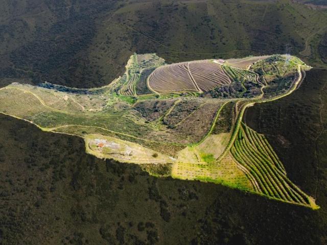 Quinta venda em Guarda, Mós