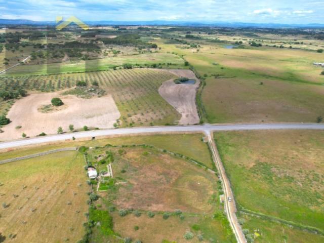 Quinta venda em Castelo Branco