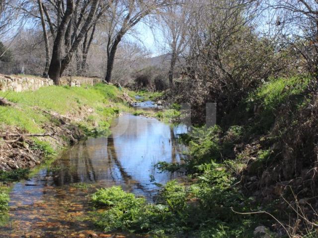 Quinta venda em Castelo Branco, Penamacor