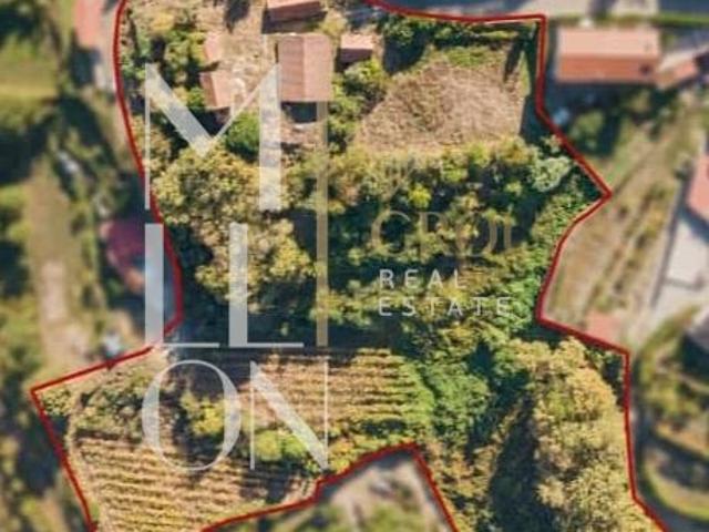 Quinta venda em Amarante, Porto