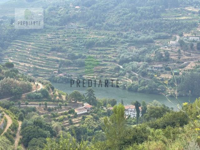 Quinta venda em Baião, Porto