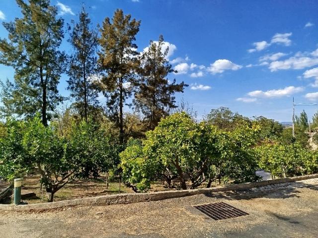 Quinta venda em Cais de Vila Franca de Xira, Vila Franca De Xira