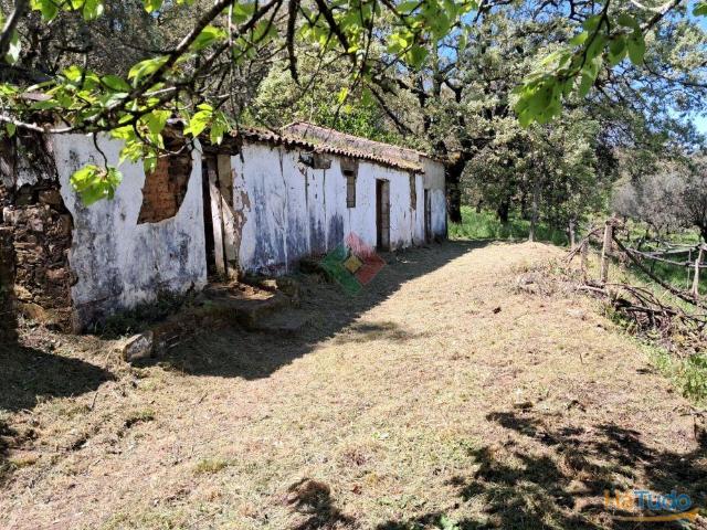 Quinta venda em Marvão, Portalegre