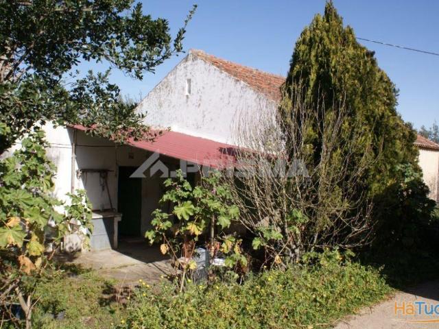 Quinta venda em Castelo Branco