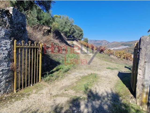 Quinta venda em Peso Da Régua, Vila Real