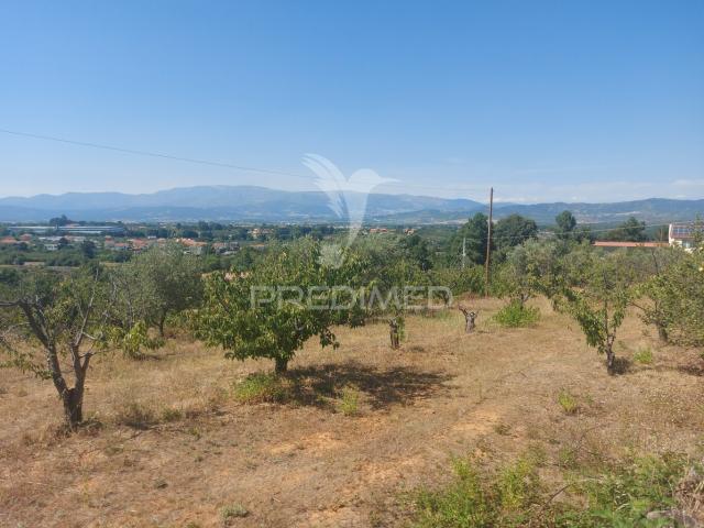 Quinta venda em Castelo Branco, Aldeia Nova Do Cabo