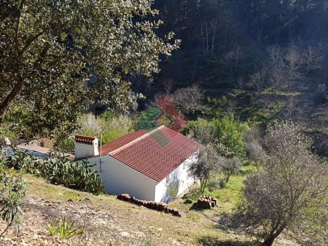 Quinta venda em Alegrete, Portalegre