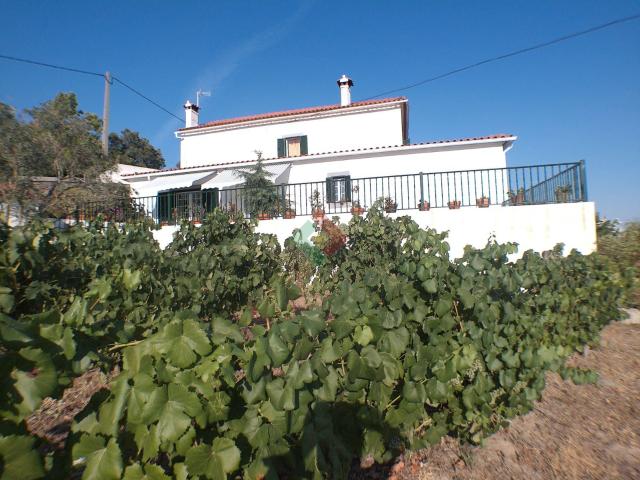 Quinta venda em Portalegre