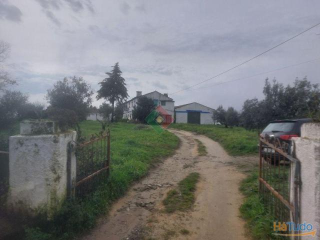 Quinta venda em Portalegre