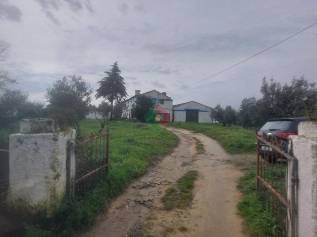Quinta venda em Portalegre