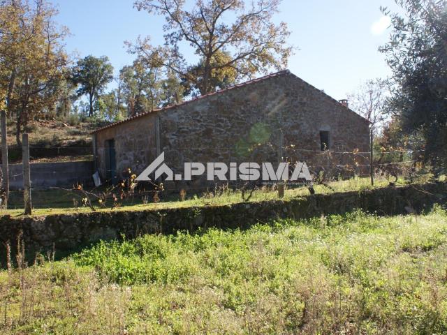 Quinta venda em Pêro Viseu, Pero Viseu