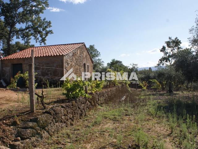 Vivenda venda em Castelo Branco, Aldeia Nova Do Cabo