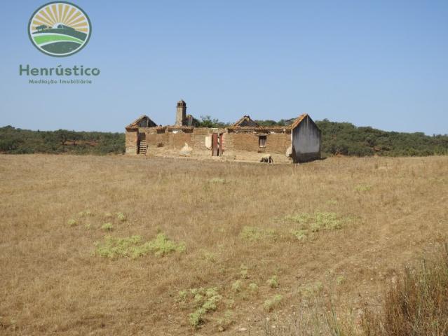 Quinta venda em Abela, Abela
