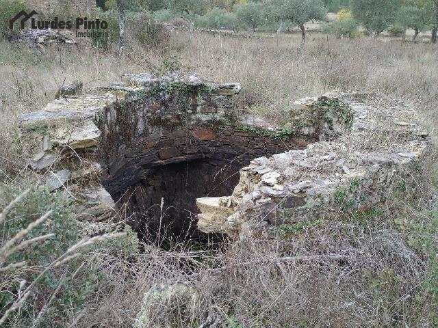 Terreno venda em Castelo Branco