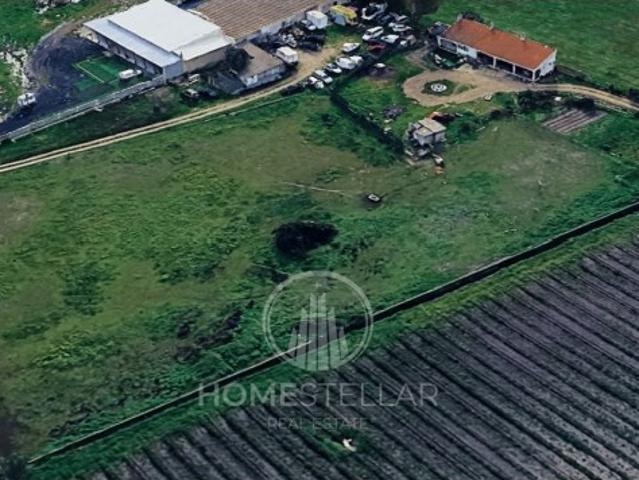 Quinta venda em Palmela