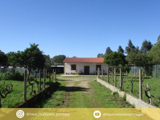 Quinta venda em Castelo Branco