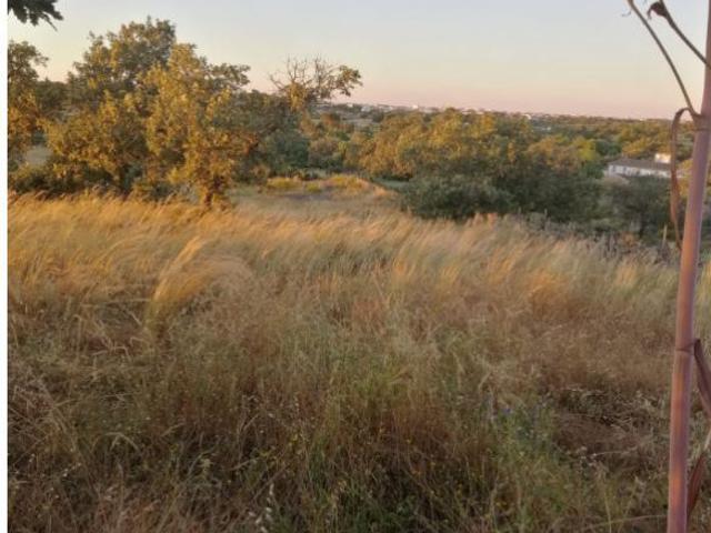 Quinta venda em Bairro da Cevadeira, Nisa