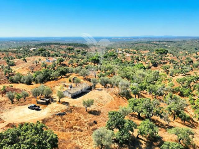 Quinta venda em Santiago Do Cacém, Setúbal